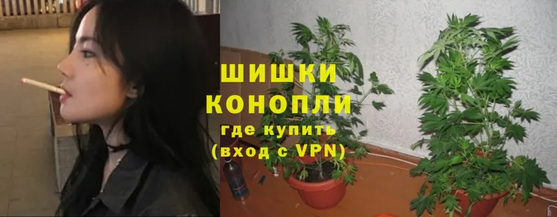 Канабис OG Kush  купить  цена  Инсар 